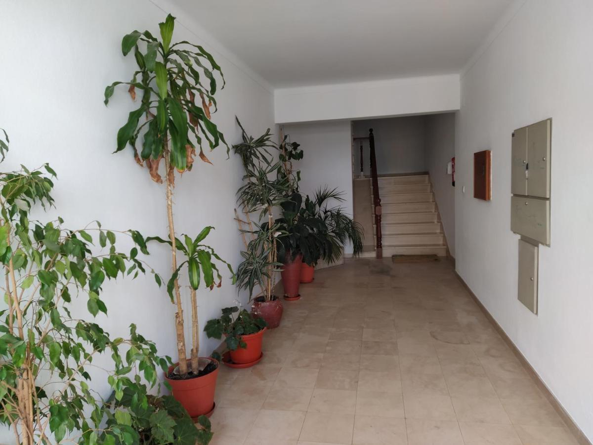 Apartamentos Bau-Doce Cercal do Alentejo Eksteriør billede