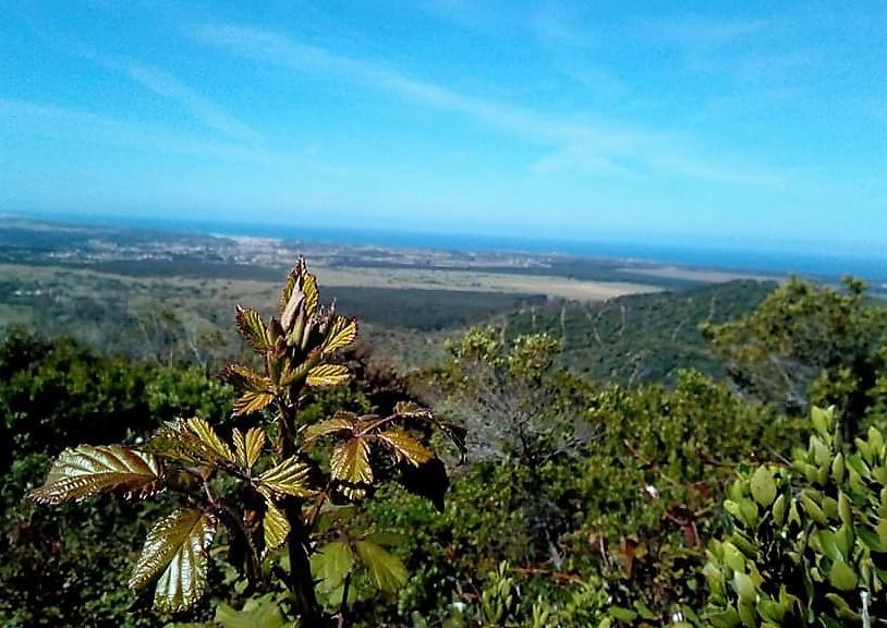 Apartamentos Bau-Doce Cercal do Alentejo Eksteriør billede